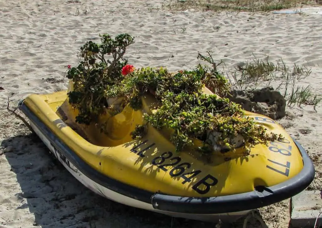 Jet ski abandonado en una playa con plantas que crecen fuera de ella