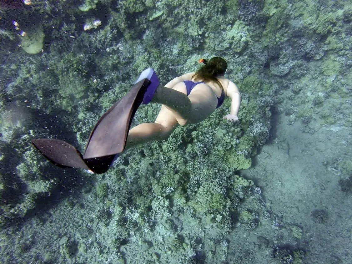 El esnórquel puede incluir buceo libre para ver más de cerca como lo está haciendo esta mujer.