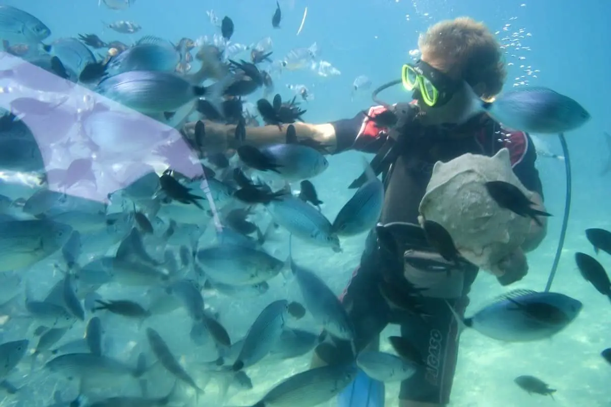 Buceo después de la entrada al revés