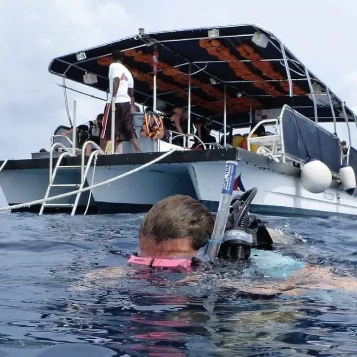 ¿Por qué los buzos usan snorkel?