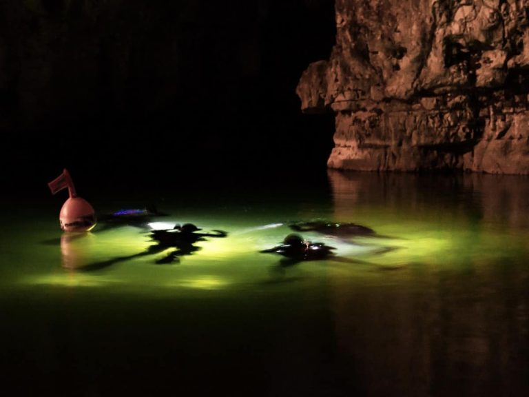 Cómo hacer snorkel por la noche: 5 consejos esenciales