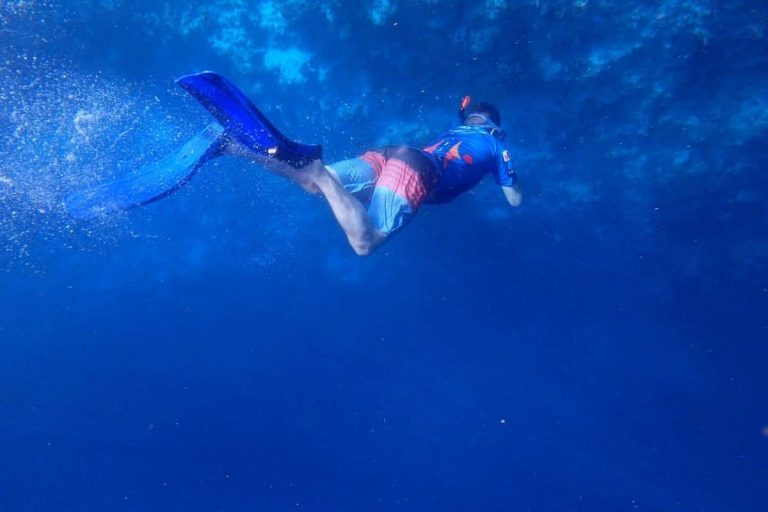 Buceo vs. Apnea: ¿Deberías ir sin tanque?